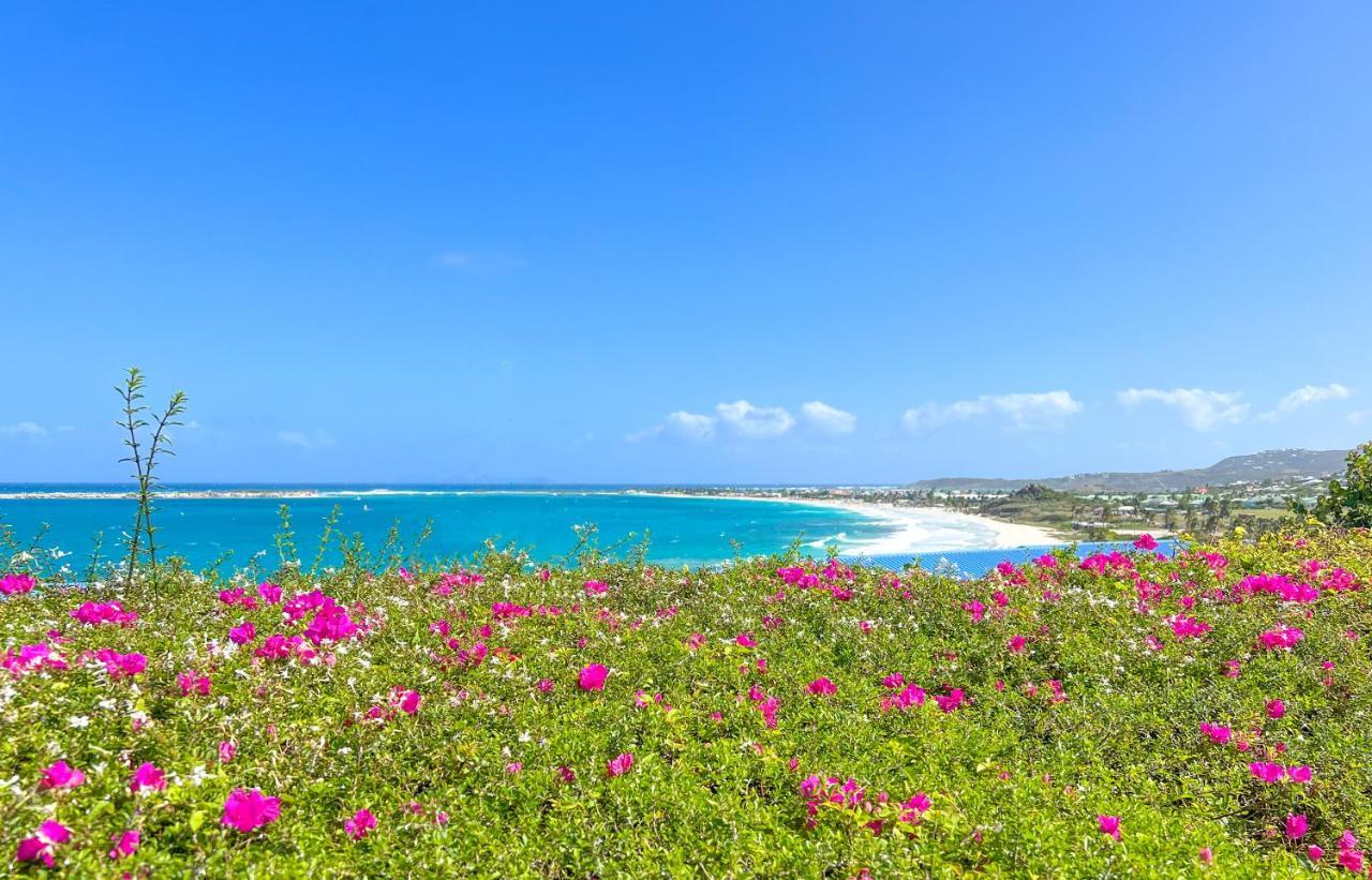 Front Line Unit 520 Ft2 - 48 M2, On Second Floor, Stunning Ocean View Apartment Cul de Sac Exterior foto